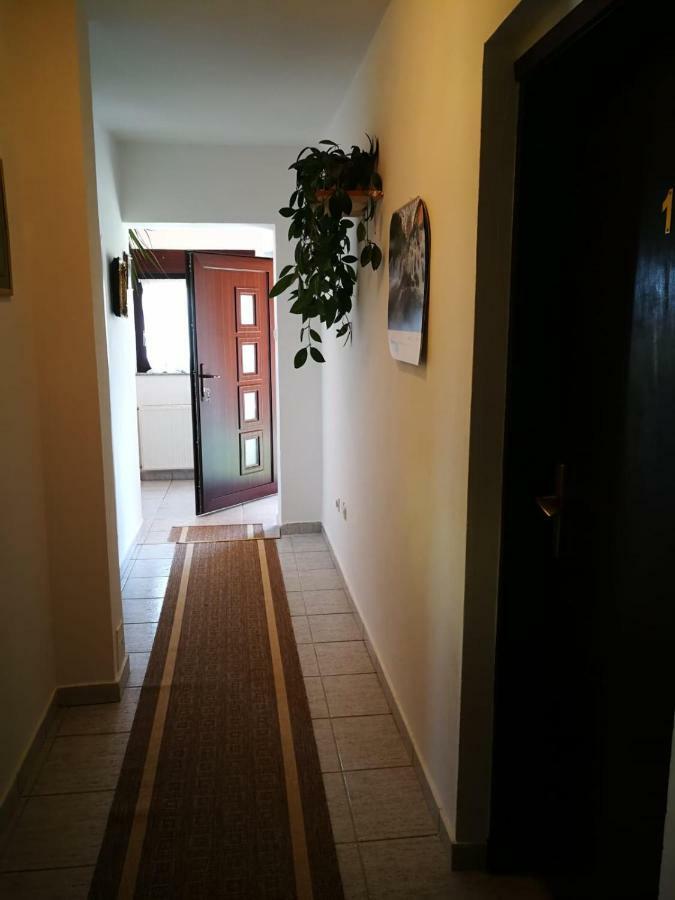 Apartman Marija Brajdic ラコヴィツァ エクステリア 写真